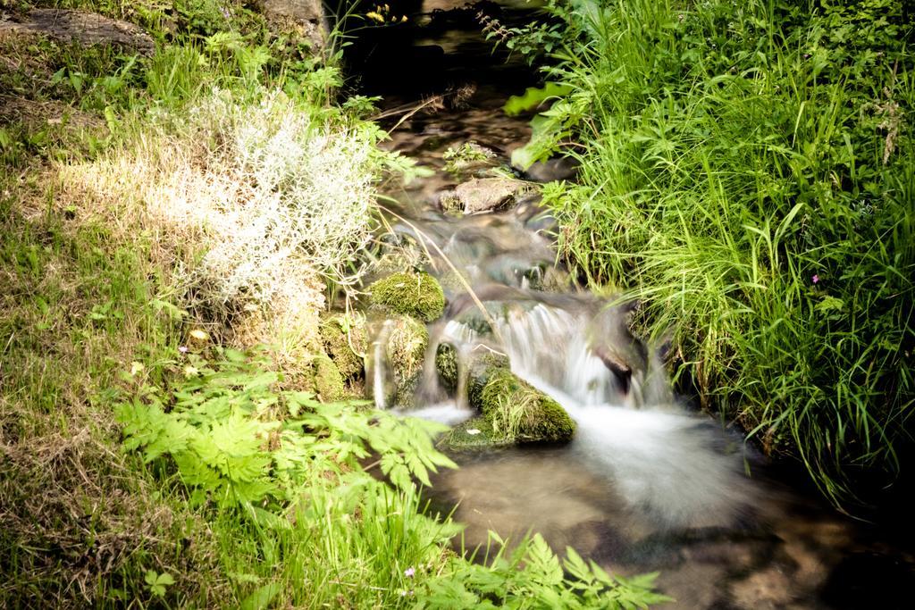 Auberge Du Moulin De Lere Vailly Kültér fotó
